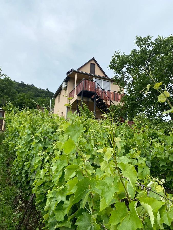 Feher Szolo Vendeghaz Satoraljaujhely Exterior photo